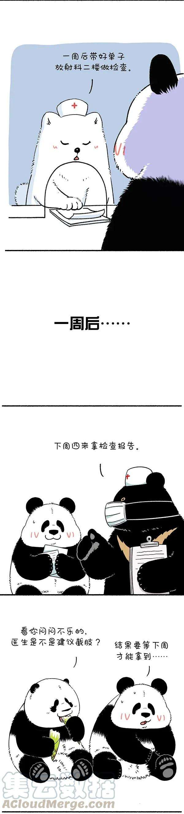 快把动物放进冰箱249 吃点苦算什么，关键是不能吃亏~