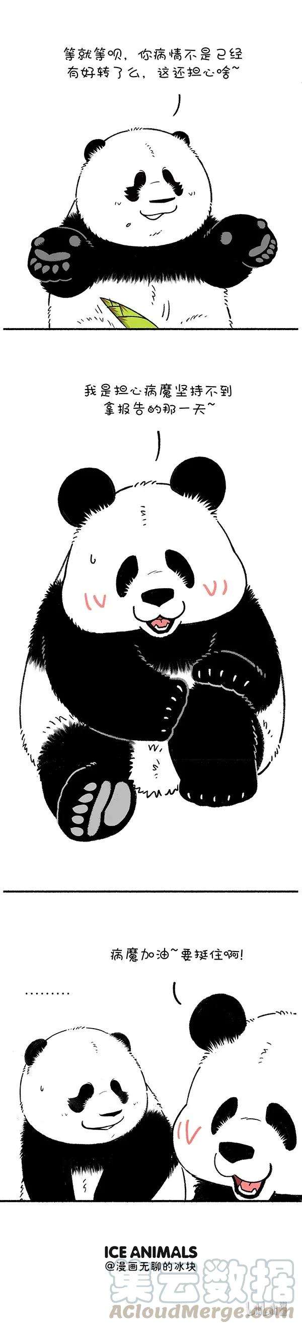 快把动物放进冰箱249 吃点苦算什么，关键是不能吃亏~