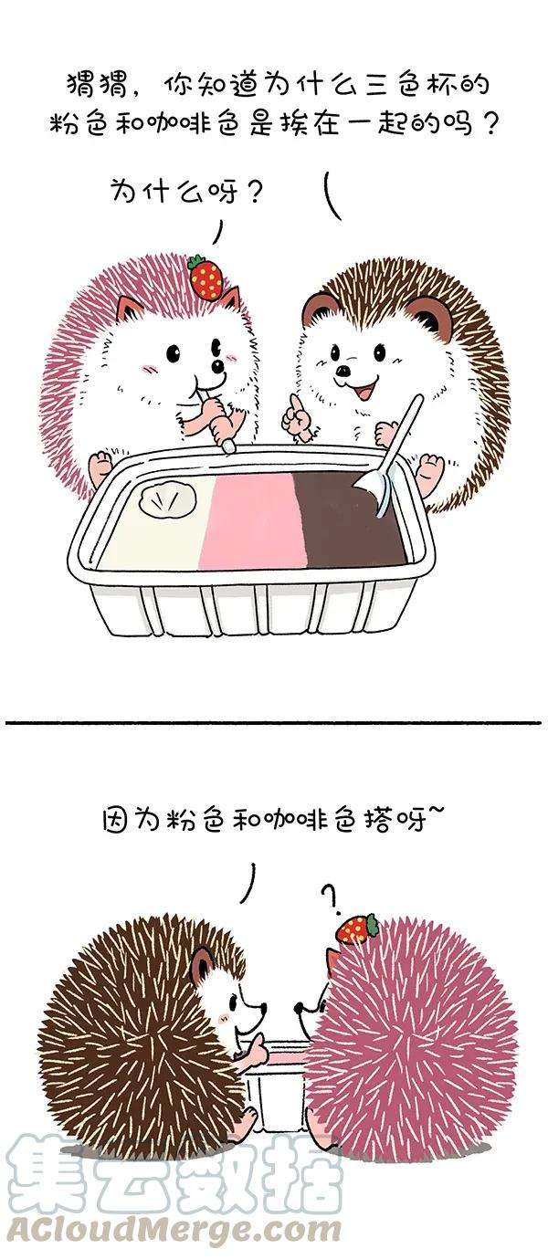 快把动物放进冰箱251 以前那么搭调，后来觉得好笑