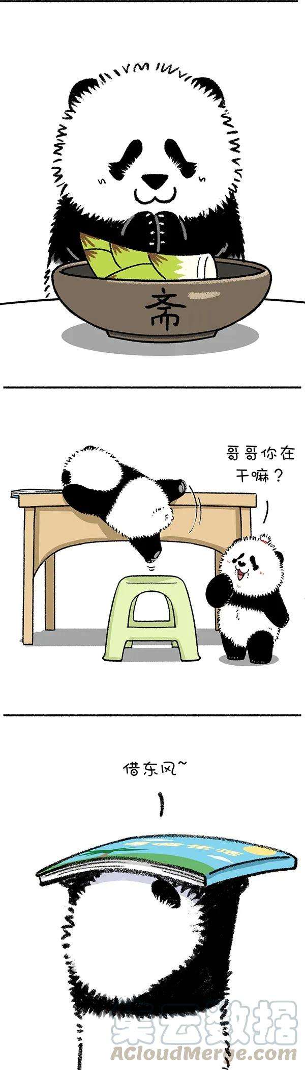 快把动物放进冰箱253 生活就是这样，该你的总归是你的