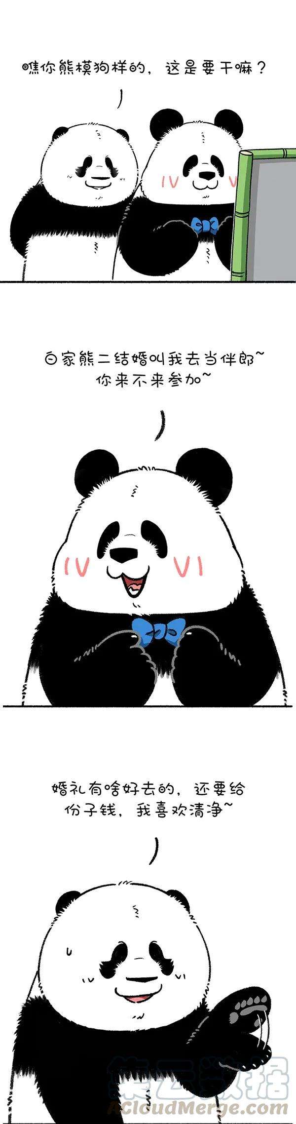 快把动物放进冰箱256 别问假期有什么安排