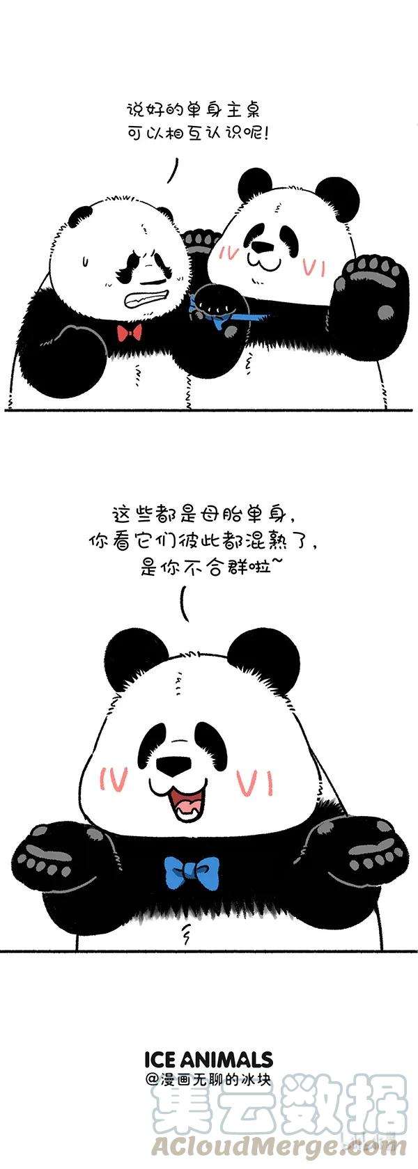 快把动物放进冰箱256 别问假期有什么安排