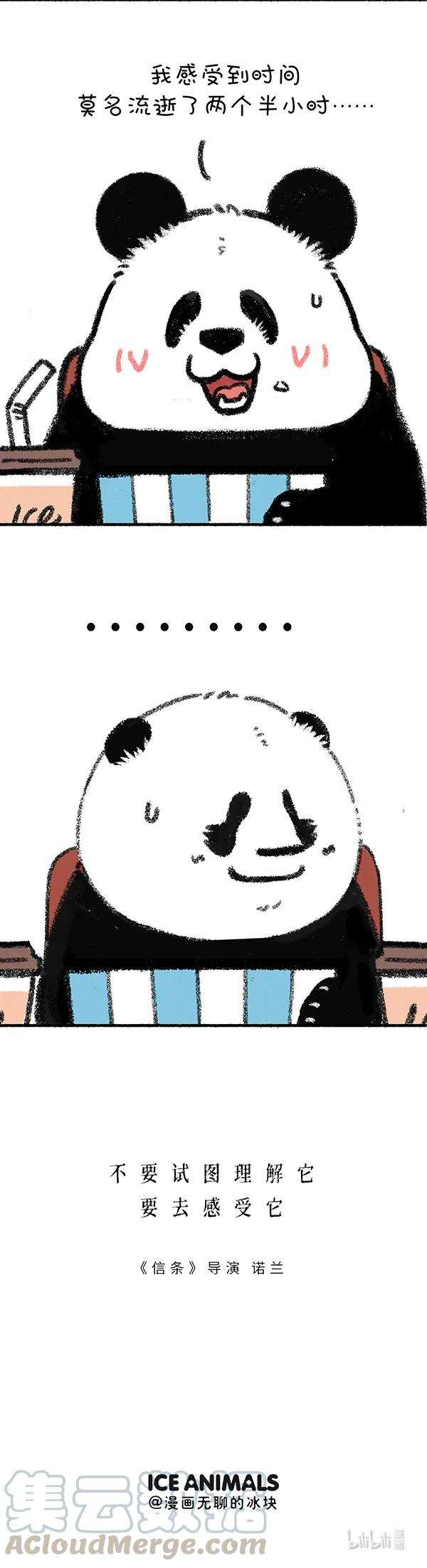 快把动物放进冰箱257 有的电影如果不能理解，就要学着去感受