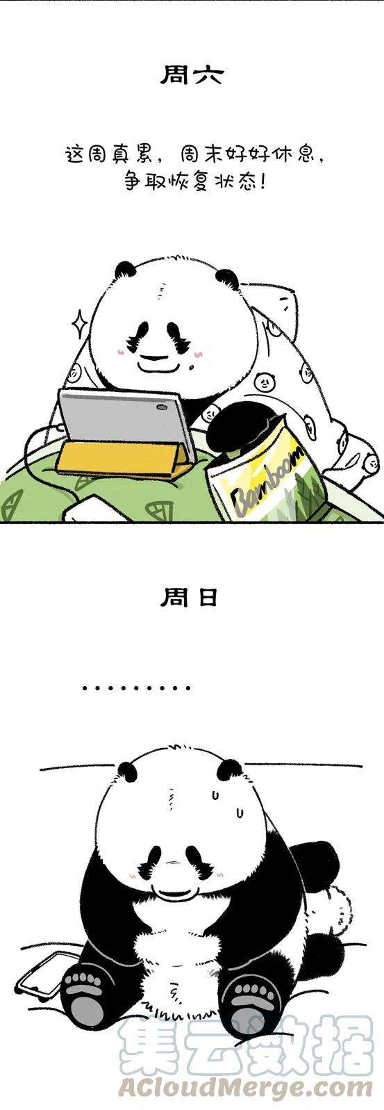 快把动物放进冰箱265 我还是上周那个少年，没有一丝丝改变