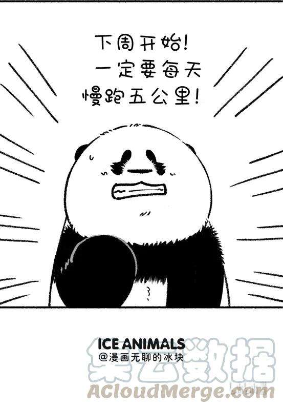 快把动物放进冰箱265 我还是上周那个少年，没有一丝丝改变