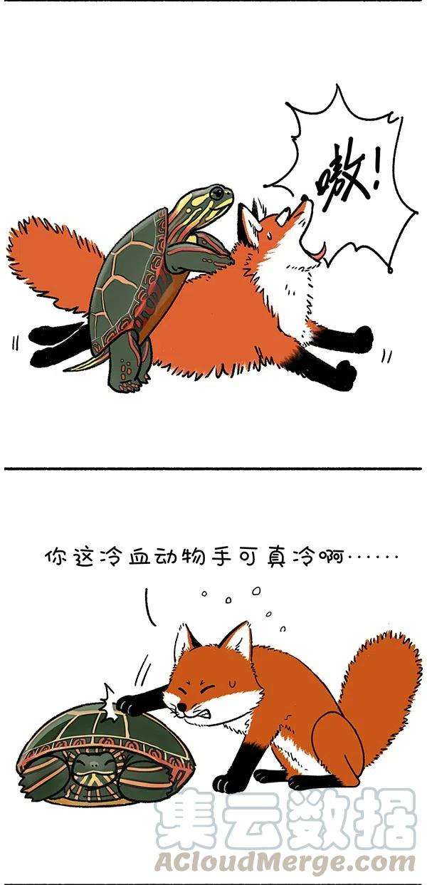 快把动物放进冰箱268 就算我似冰寒，也想给你温暖~