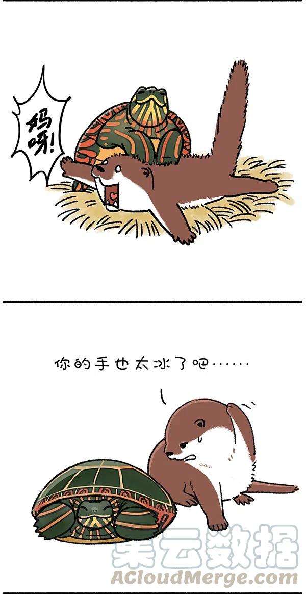 快把动物放进冰箱268 就算我似冰寒，也想给你温暖~