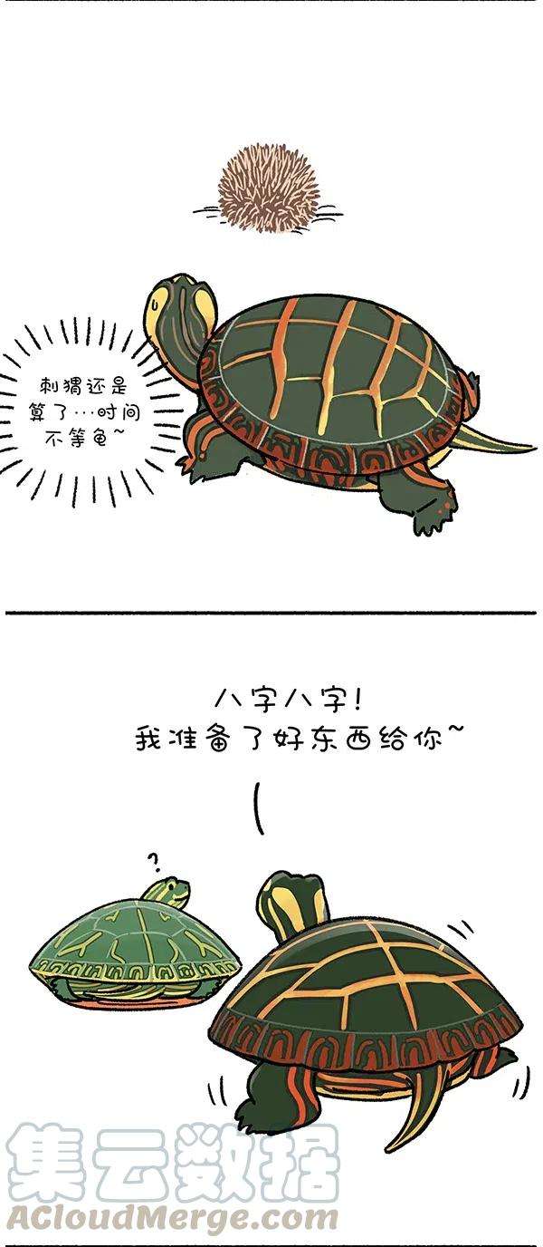 快把动物放进冰箱268 就算我似冰寒，也想给你温暖~