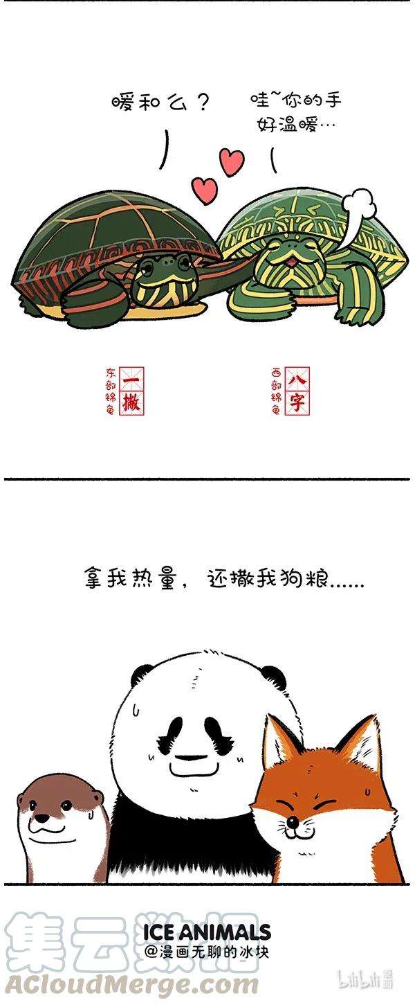 快把动物放进冰箱268 就算我似冰寒，也想给你温暖~