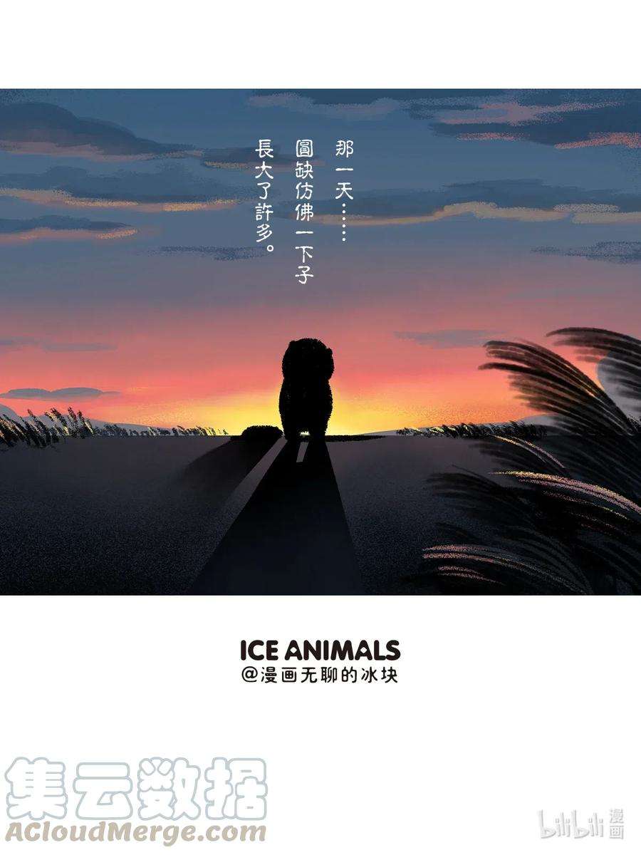 快把动物放进冰箱273 成长的路上，缺不了前辈的提携~