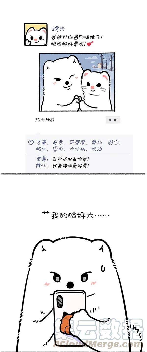 快把动物放进冰箱275 照片这一拍，生活就很嗨~
