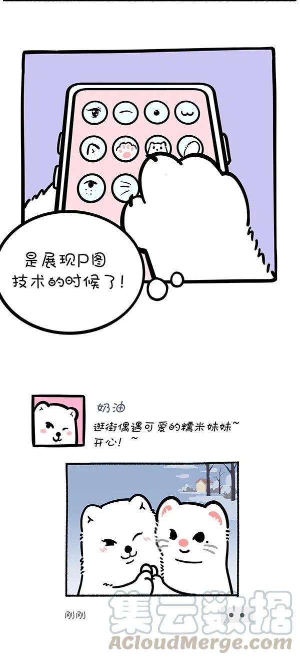 快把动物放进冰箱275 照片这一拍，生活就很嗨~