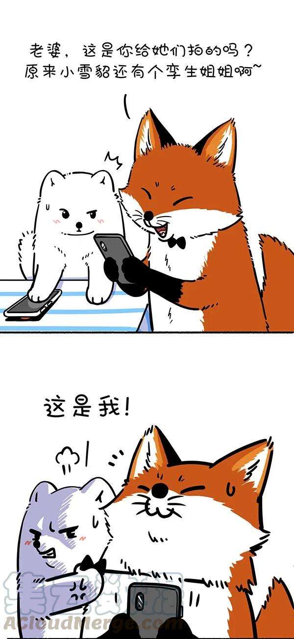 快把动物放进冰箱275 照片这一拍，生活就很嗨~
