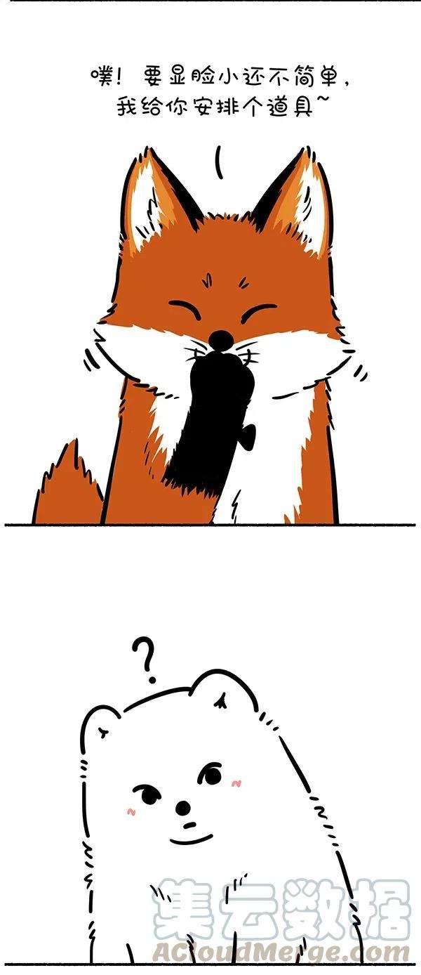 快把动物放进冰箱275 照片这一拍，生活就很嗨~