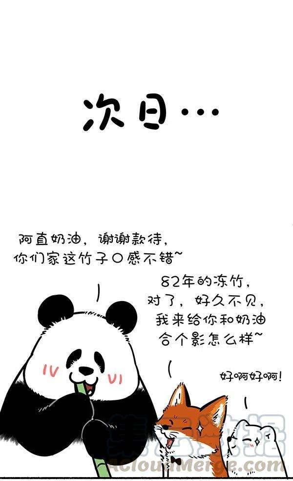 快把动物放进冰箱275 照片这一拍，生活就很嗨~