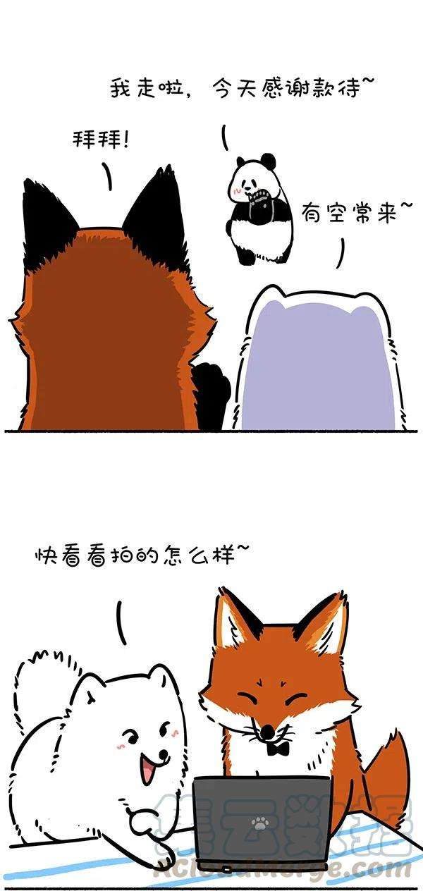 快把动物放进冰箱275 照片这一拍，生活就很嗨~