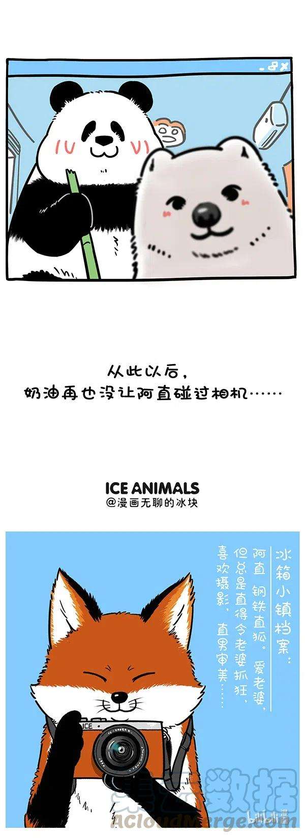 快把动物放进冰箱275 照片这一拍，生活就很嗨~