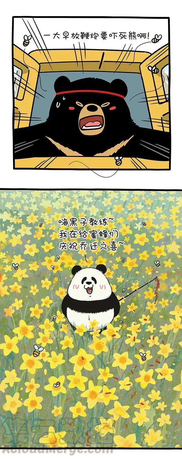 快把动物放进冰箱279 春天，有的熊还在劳作，有的熊已经收获~