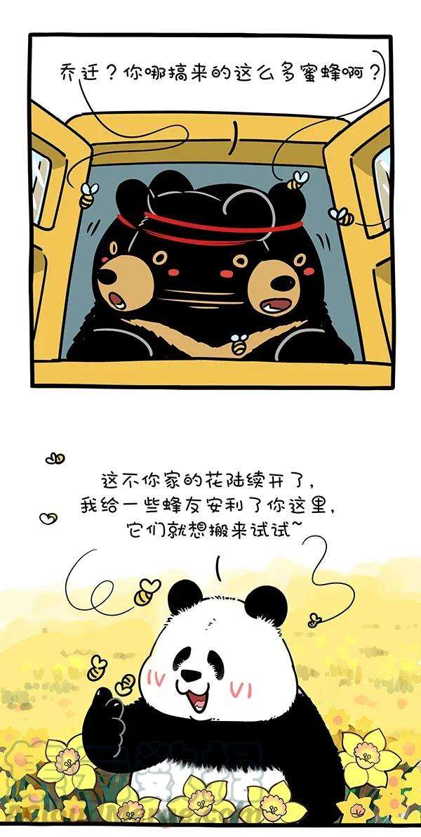 快把动物放进冰箱279 春天，有的熊还在劳作，有的熊已经收获~