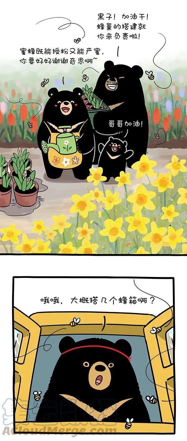快把动物放进冰箱279 春天，有的熊还在劳作，有的熊已经收获~