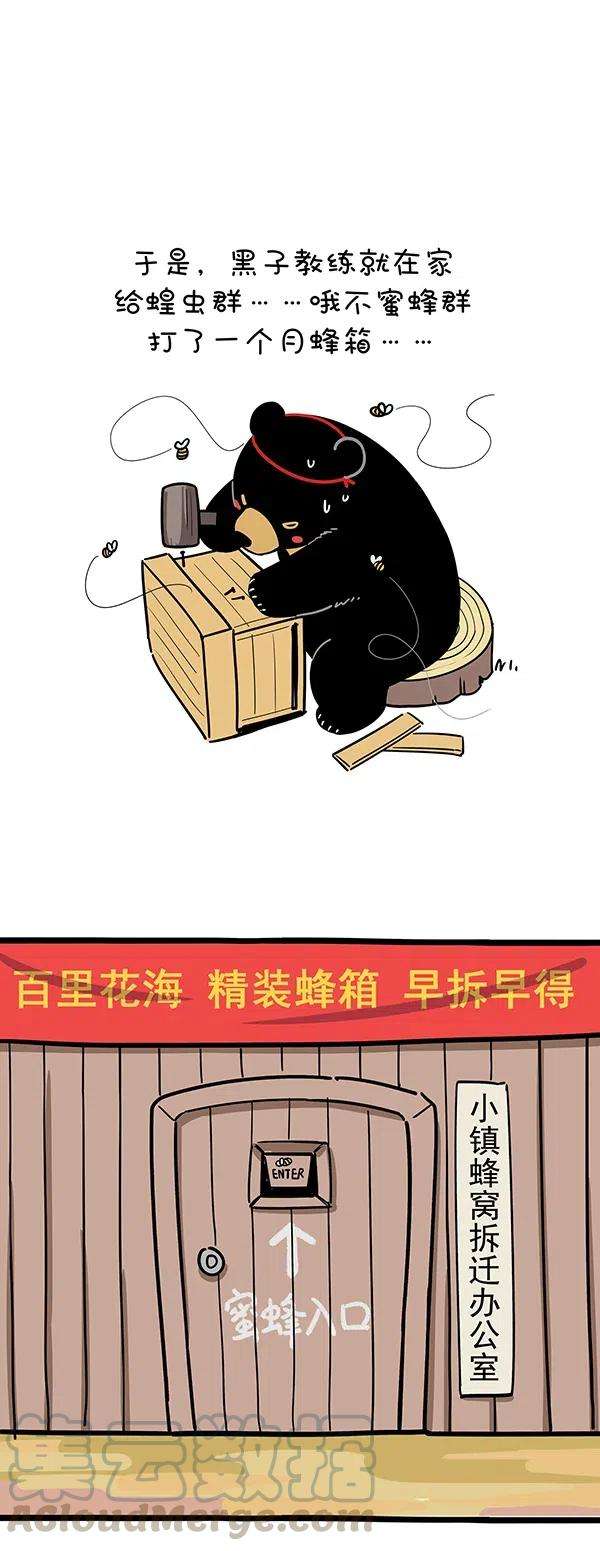 快把动物放进冰箱279 春天，有的熊还在劳作，有的熊已经收获~