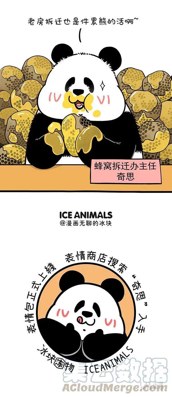 快把动物放进冰箱279 春天，有的熊还在劳作，有的熊已经收获~