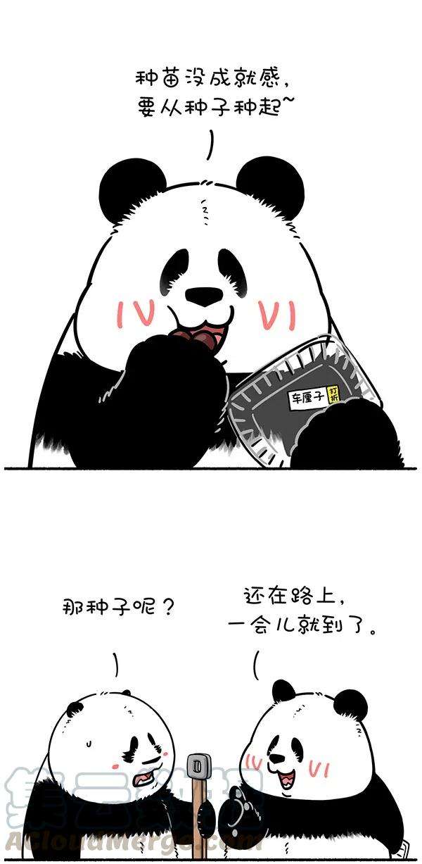 快把动物放进冰箱281 我们拥有的每一抹绿荫，都是前人辛勤酝酿的成果！