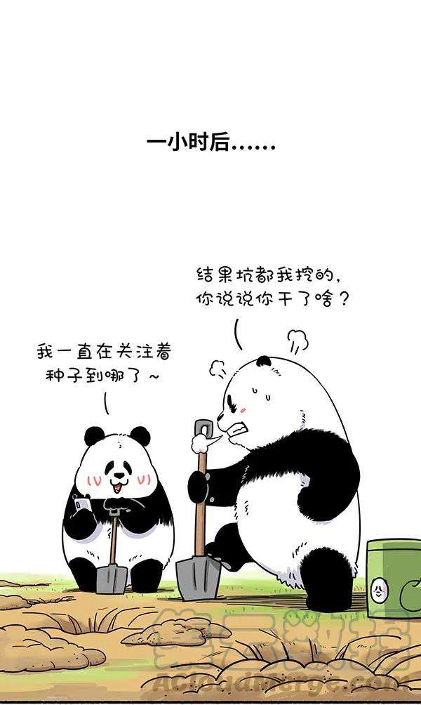 快把动物放进冰箱281 我们拥有的每一抹绿荫，都是前人辛勤酝酿的成果！