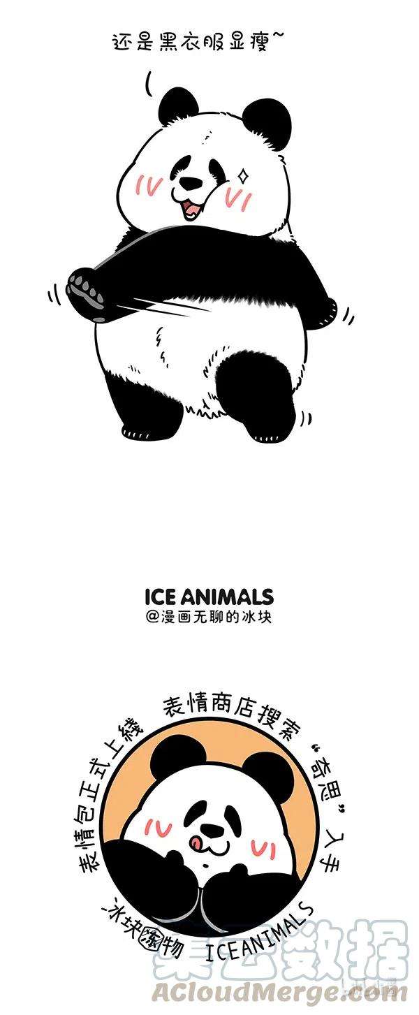 快把动物放进冰箱282 经过一个冬天，去年的春装都冻的缩了起来