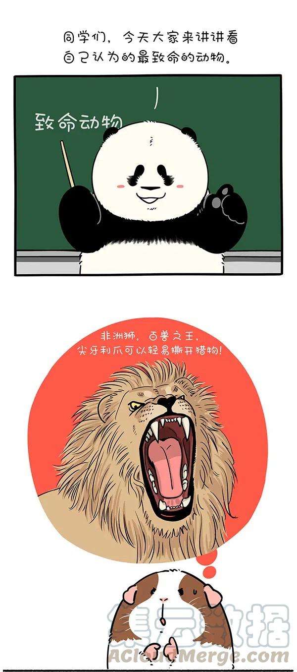 快把动物放进冰箱283 世界上最致命的动物是什么？