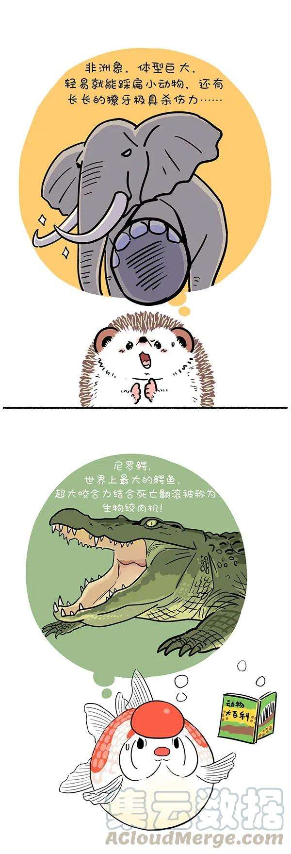 快把动物放进冰箱283 世界上最致命的动物是什么？