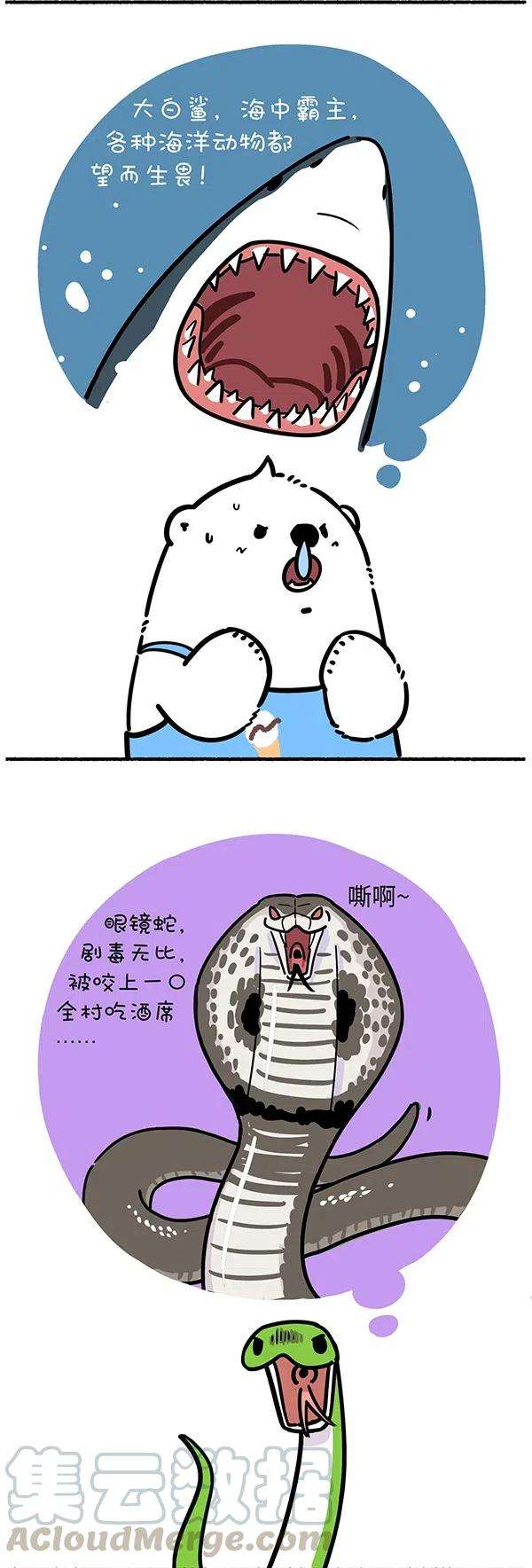 快把动物放进冰箱283 世界上最致命的动物是什么？