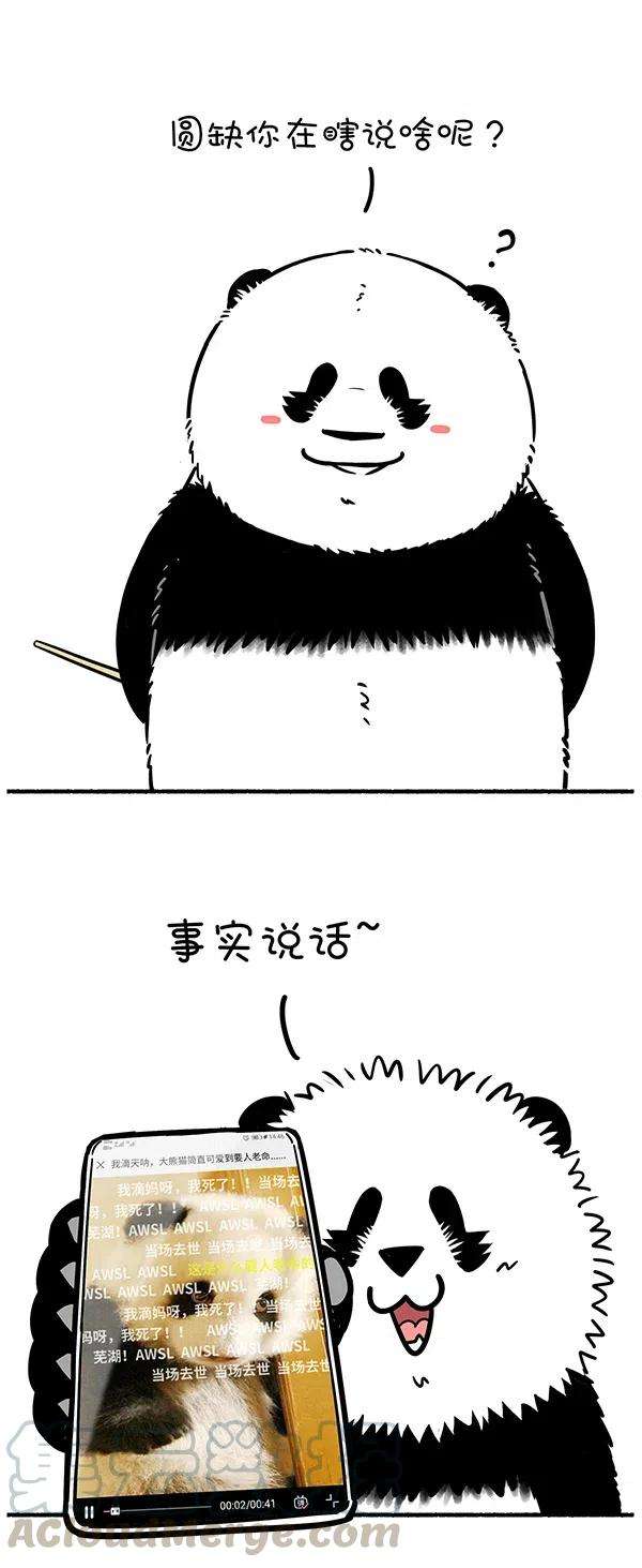 快把动物放进冰箱283 世界上最致命的动物是什么？