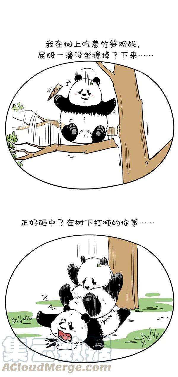 快把动物放进冰箱284 猿粪向来天注定，自古胜者多躺赢