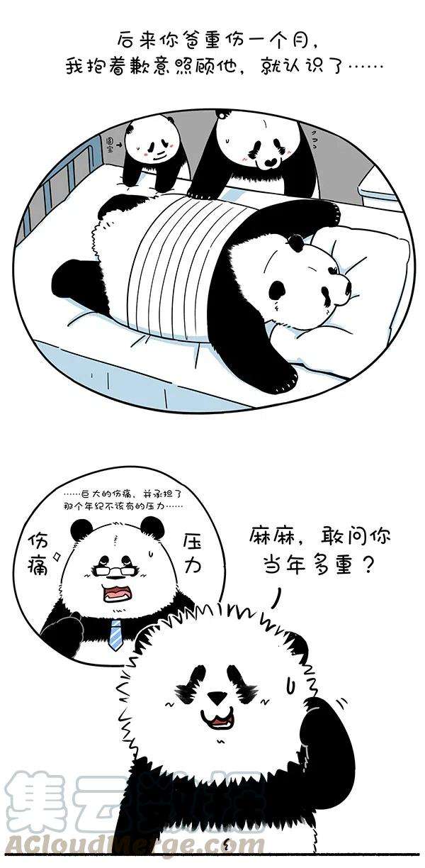 快把动物放进冰箱284 猿粪向来天注定，自古胜者多躺赢