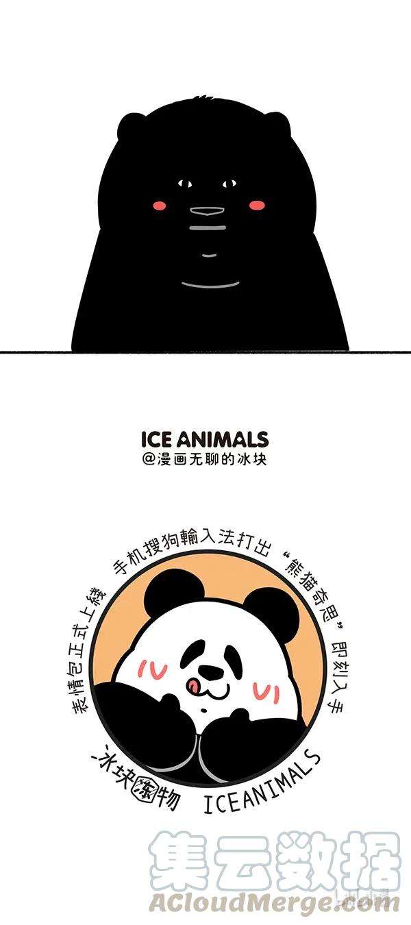 快把动物放进冰箱285 黑夜给了我黑色的眼圈，白天我却去了医院