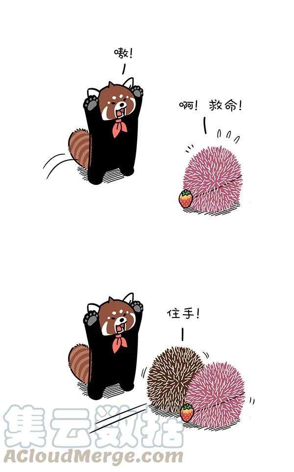 快把动物放进冰箱287 只要脑子反应快，人间处处是真爱~