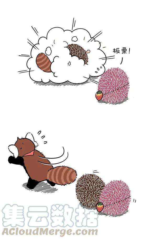 快把动物放进冰箱287 只要脑子反应快，人间处处是真爱~