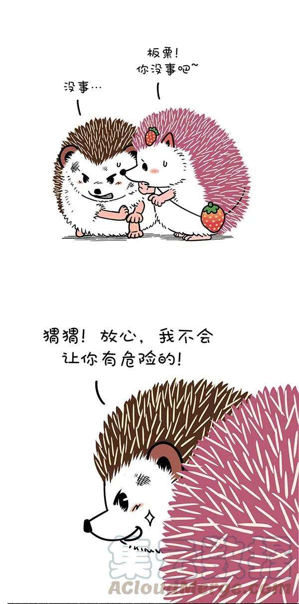 快把动物放进冰箱287 只要脑子反应快，人间处处是真爱~