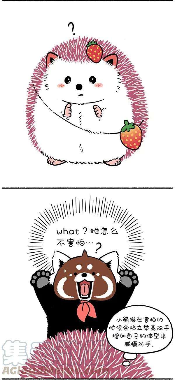 快把动物放进冰箱287 只要脑子反应快，人间处处是真爱~