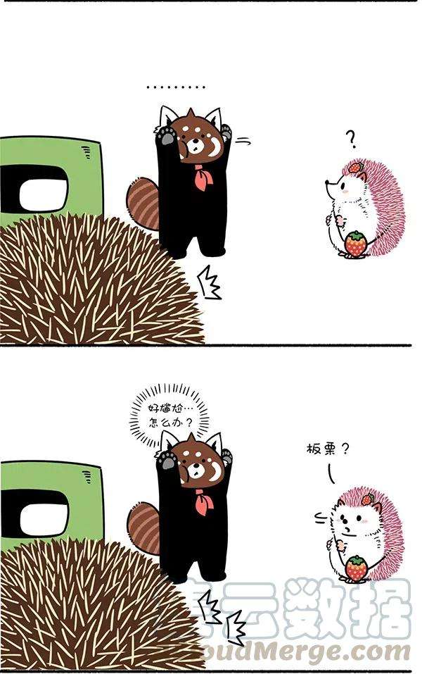 快把动物放进冰箱287 只要脑子反应快，人间处处是真爱~
