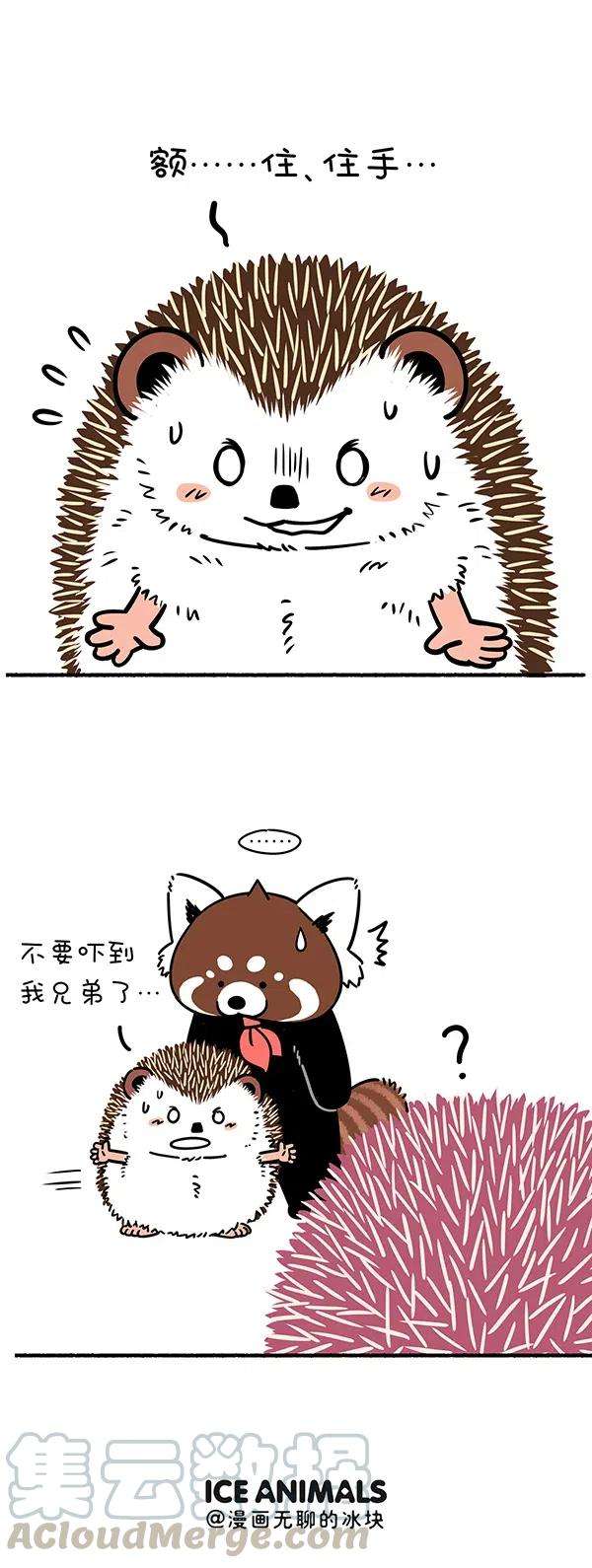 快把动物放进冰箱287 只要脑子反应快，人间处处是真爱~
