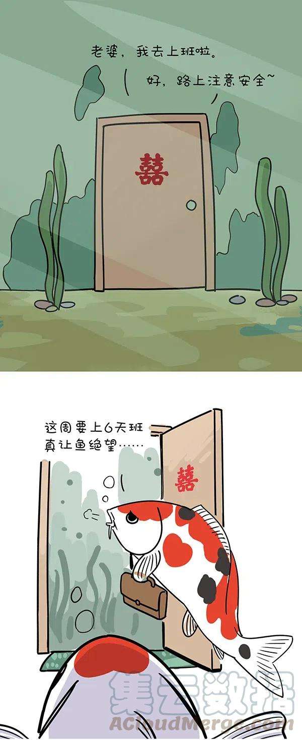 快把动物放进冰箱289 读书日如何以平和的心态度过五一小长假前的一周