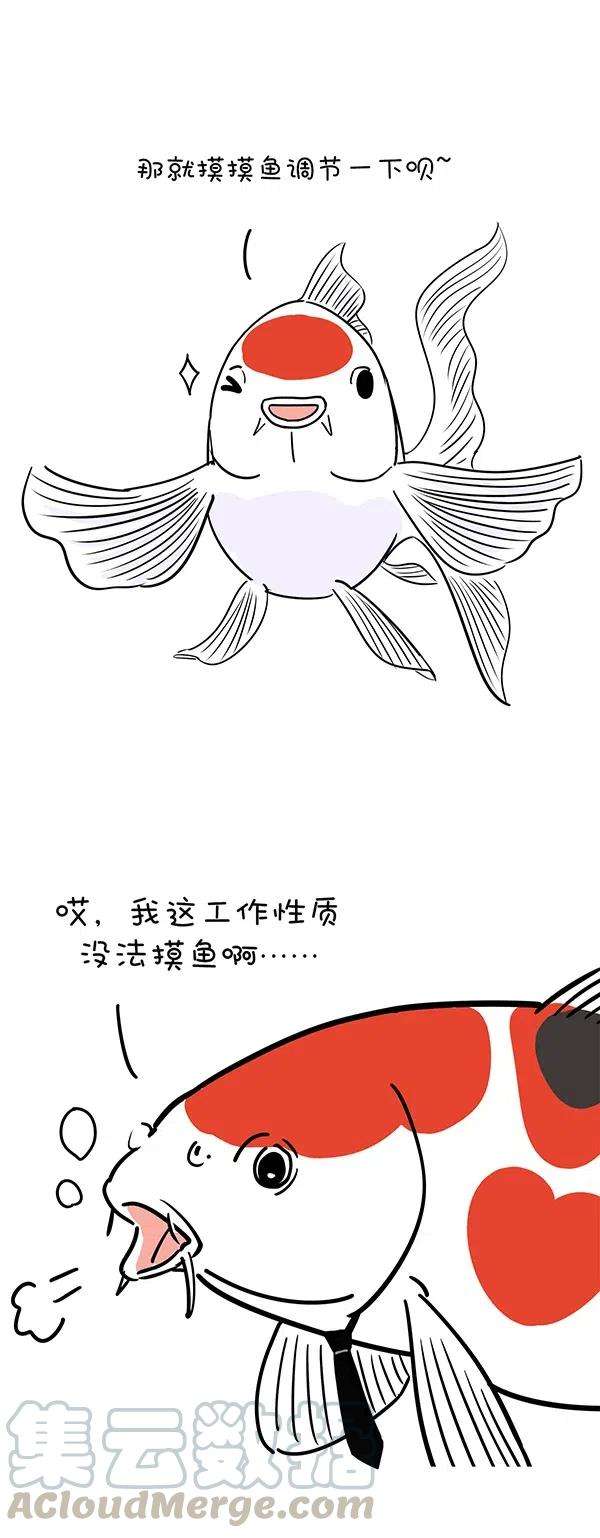 快把动物放进冰箱289 读书日如何以平和的心态度过五一小长假前的一周