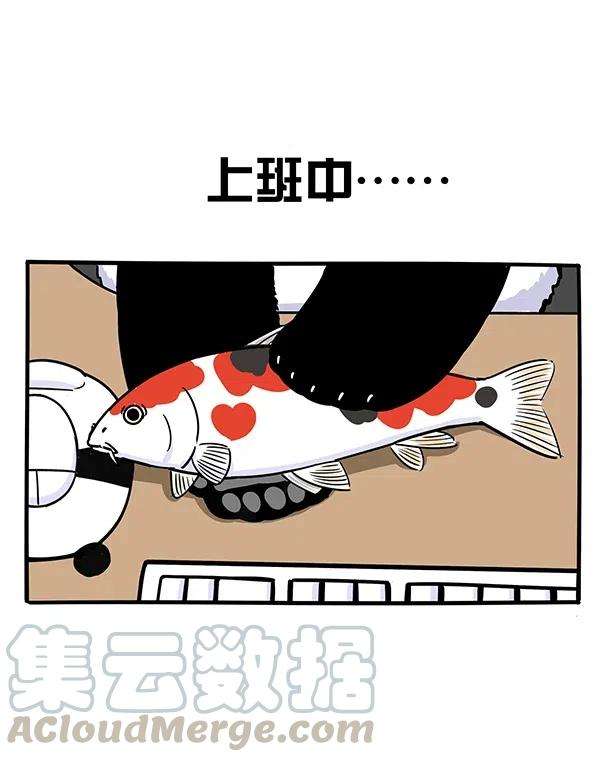 快把动物放进冰箱289 读书日如何以平和的心态度过五一小长假前的一周