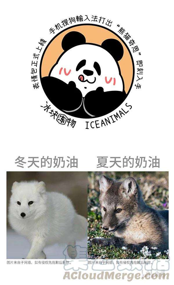 快把动物放进冰箱302 正常来讲，笔直的路不太会出轨