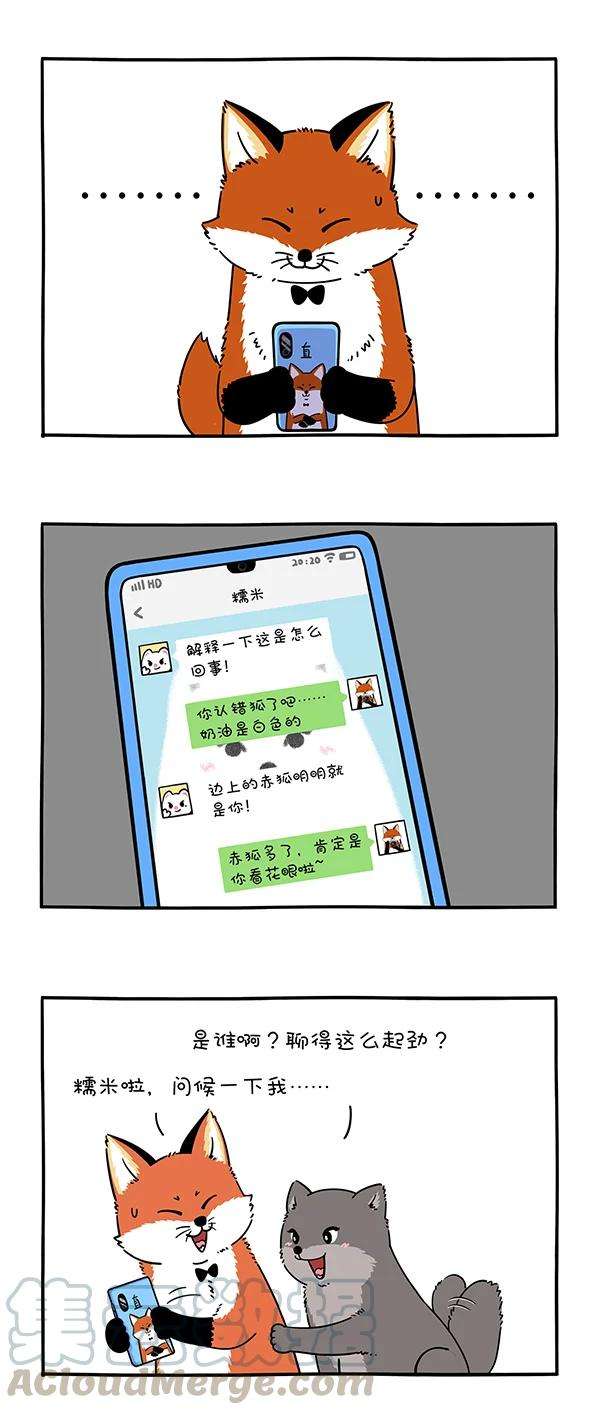 快把动物放进冰箱303 有的事情不承认，其实就等于承认了