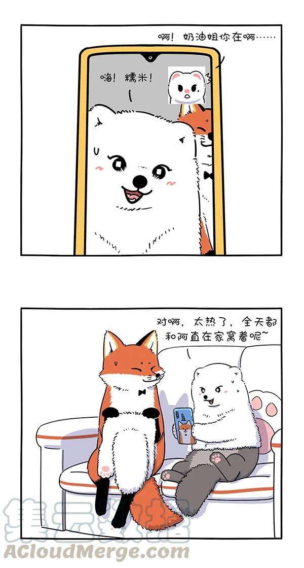 快把动物放进冰箱303 有的事情不承认，其实就等于承认了