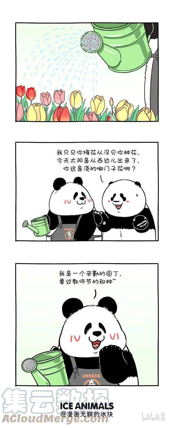 快把动物放进冰箱314 辛苦耕耘，就收了我这么个货