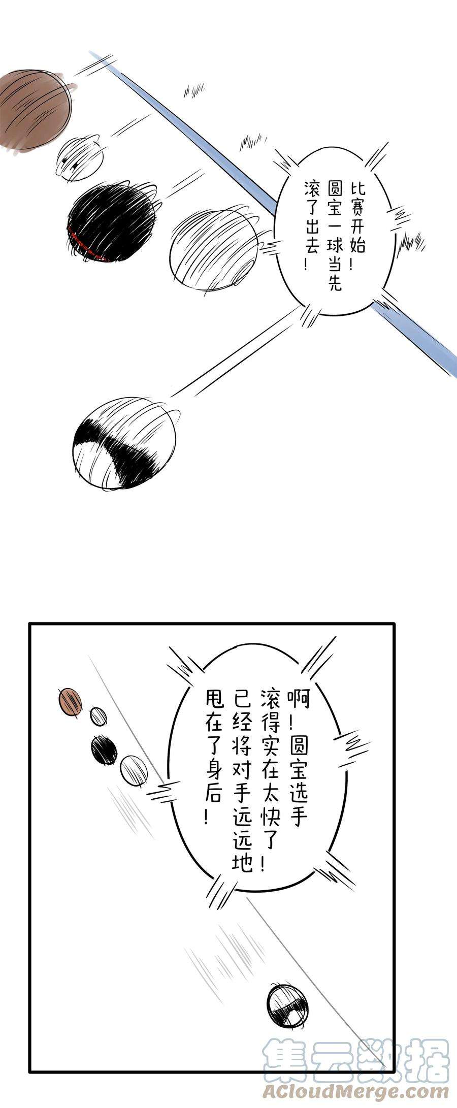快把动物放进冰箱334 今年的元宵，就要滚出竞技体育的气氛！